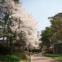 Image from Mayfield Hotel Seoul