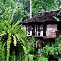 Fern Paradise Hotel